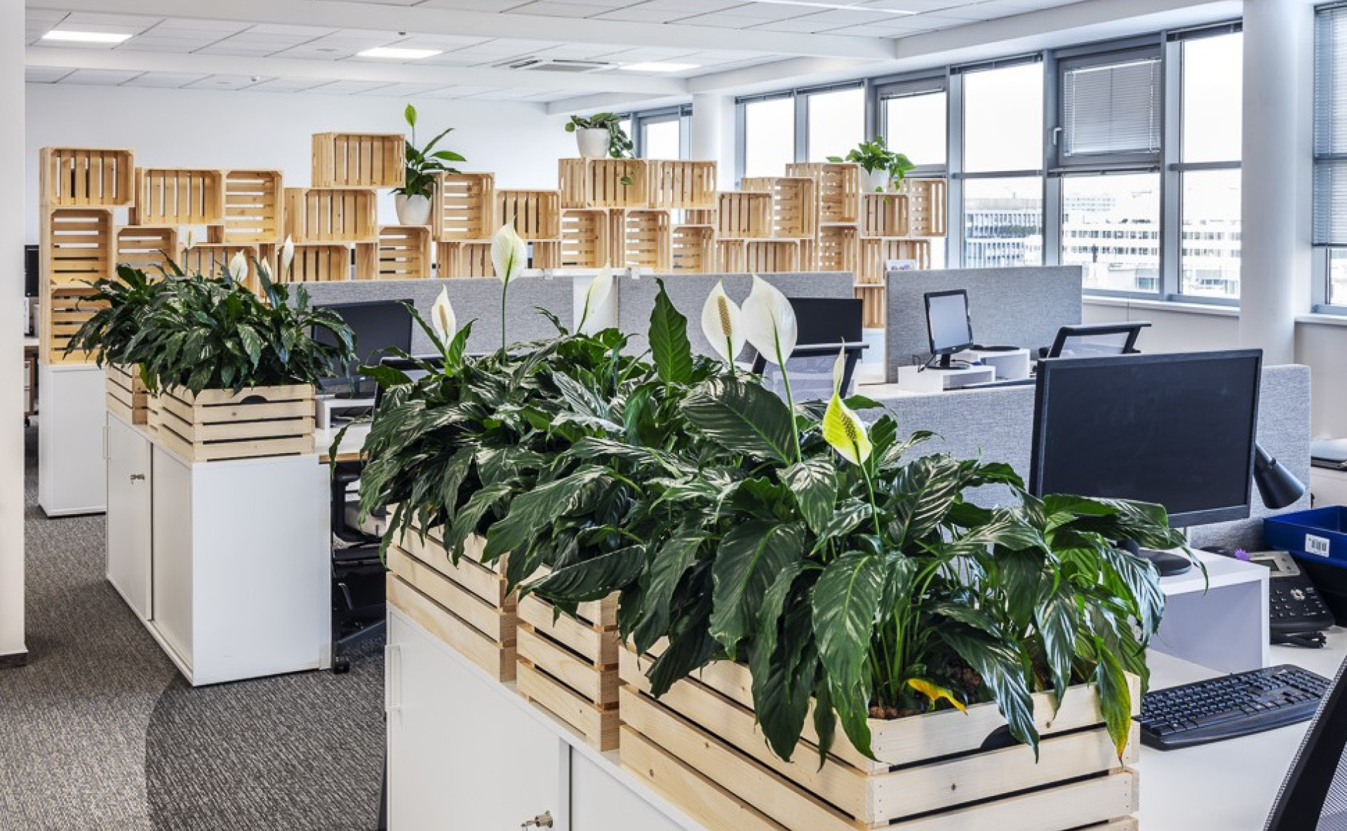 Copilot said:  Polygon House Office Space for Lease, Prague 4 – Pankrác